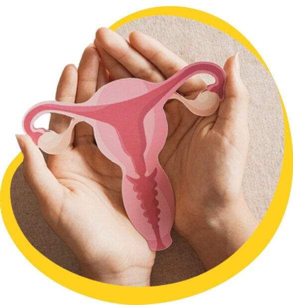 Dłonie trzymające ilustrację żeńskich narządów rozrodczych – symbol troski o zdrowie intymne i profilaktykę raka szyjki macicy.